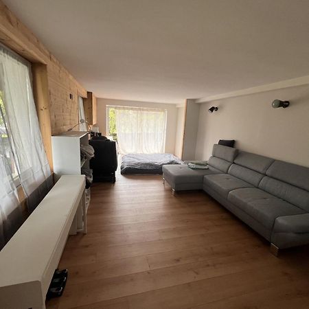 Quiet Studio In A House In Sevrier Annecy Lake Very Close To The Lake Dış mekan fotoğraf
