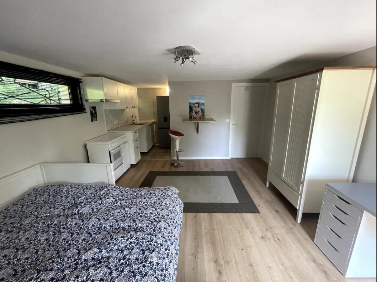 Quiet Studio In A House In Sevrier Annecy Lake Very Close To The Lake Dış mekan fotoğraf