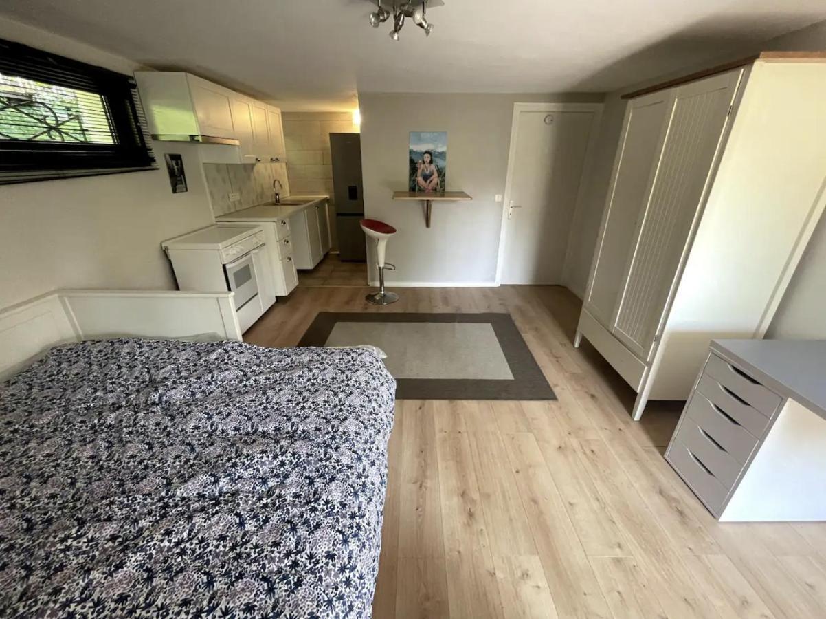 Quiet Studio In A House In Sevrier Annecy Lake Very Close To The Lake Dış mekan fotoğraf